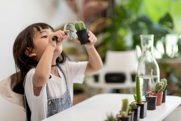 Child caring for a potted plant as a practical life activity