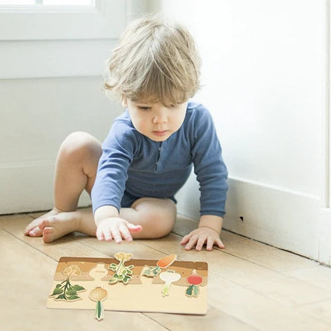 Montessori Wooden Puzzles for Growth Development
