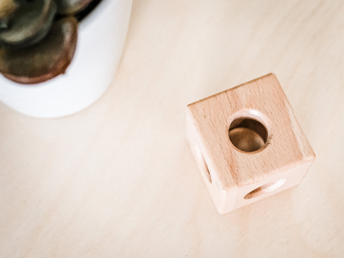 Unveiling the Magic: Simple Everyday Montessori Toys for Optimal Cognitive Development