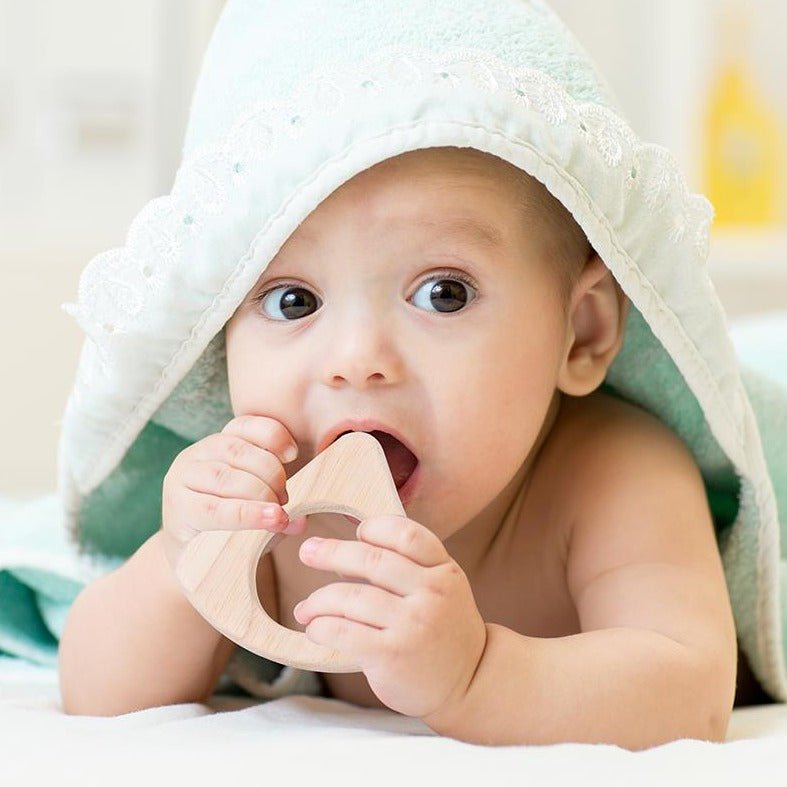 Discounted Montessori wooden toys and educational materials on sale at Oliver & Company