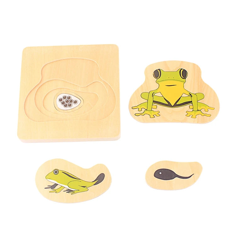 Montessori Life Cycle Layered Puzzle Wooden Biology Toy 