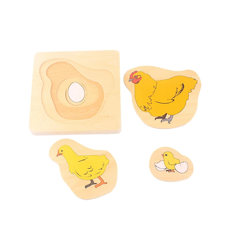Montessori Life Cycle Layered Puzzle Wooden Biology Toy 