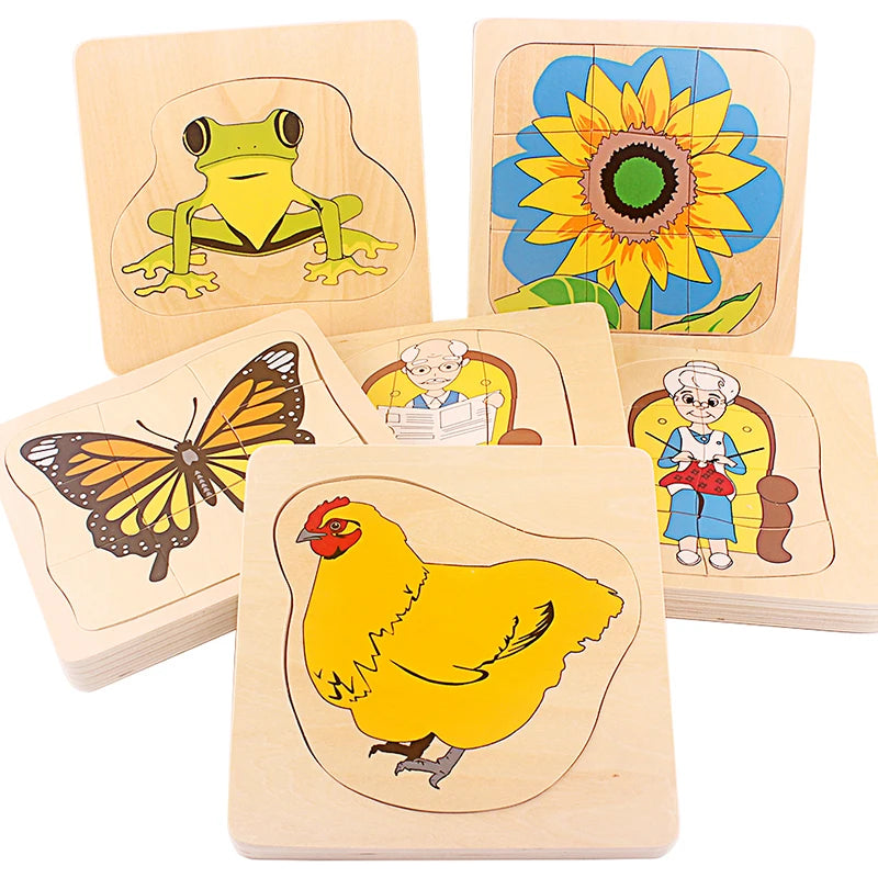 Montessori Life Cycle Layered Puzzle Wooden Biology Toy 