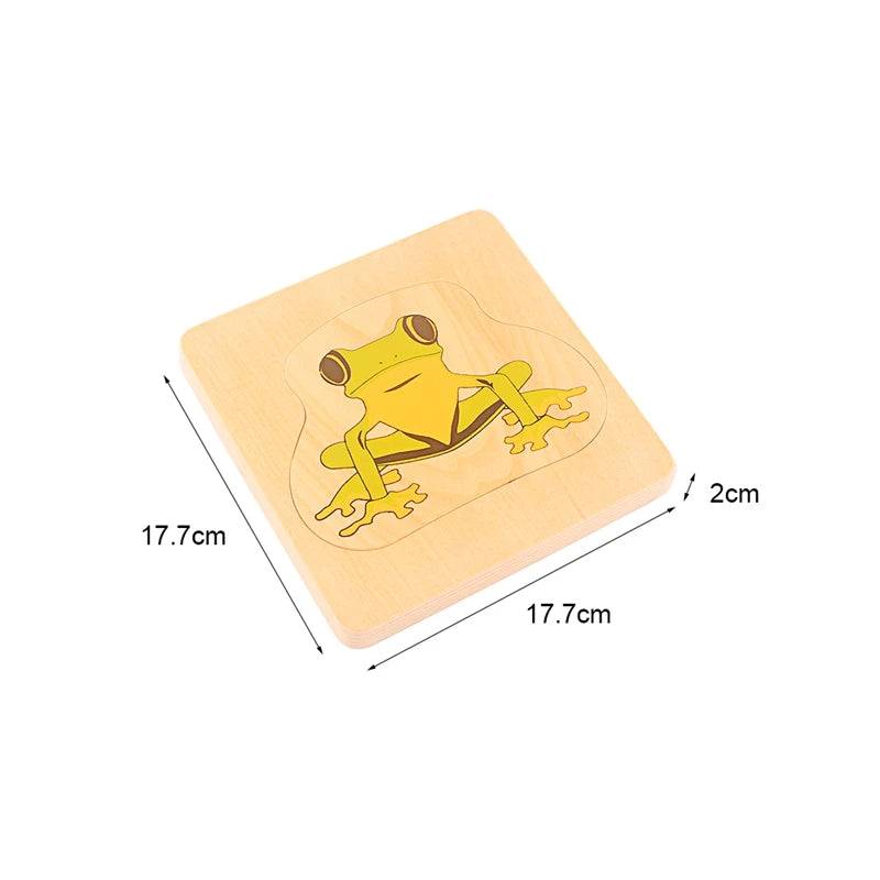 Montessori Life Cycle Layered Puzzle Wooden Biology Toy 