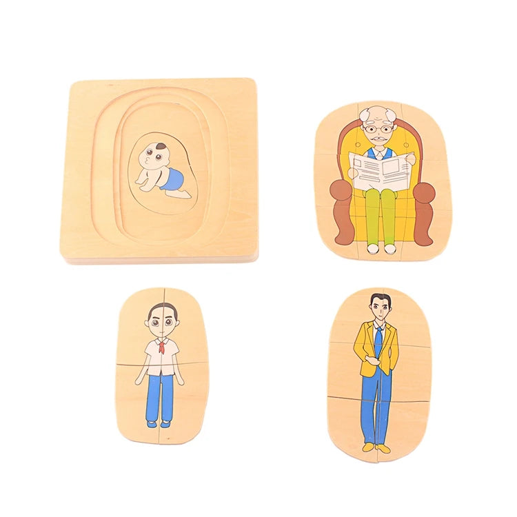 Montessori Life Cycle Layered Puzzle Wooden Biology Toy 
