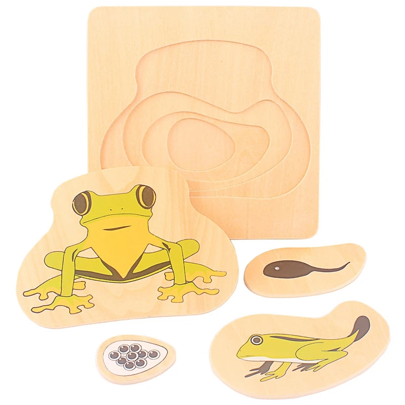 Montessori Life Cycle Layered Puzzle Wooden Biology Toy 