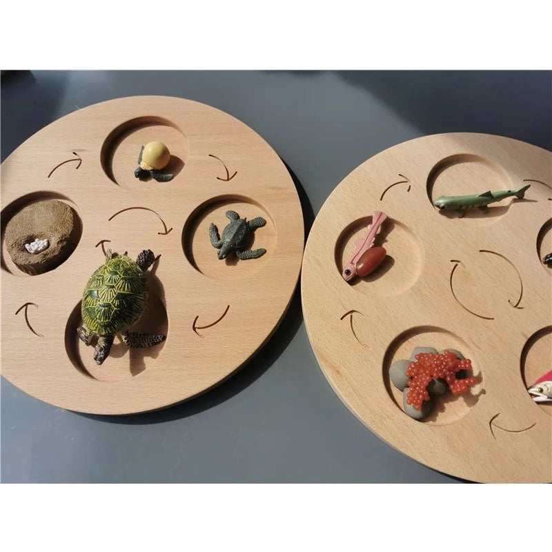 Wooden Life Cycle Learning Board with Figurines
