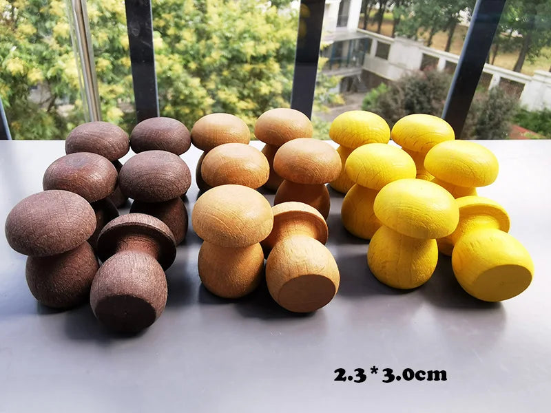 Montessori Rainbow & Natural Wood Loose Parts and Sorting Box