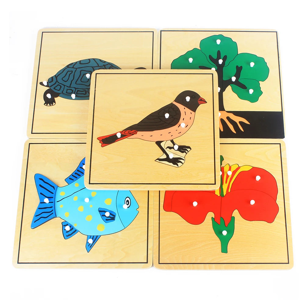 Montessori Zoology and Botany Parts Puzzle Wooden Science Toy