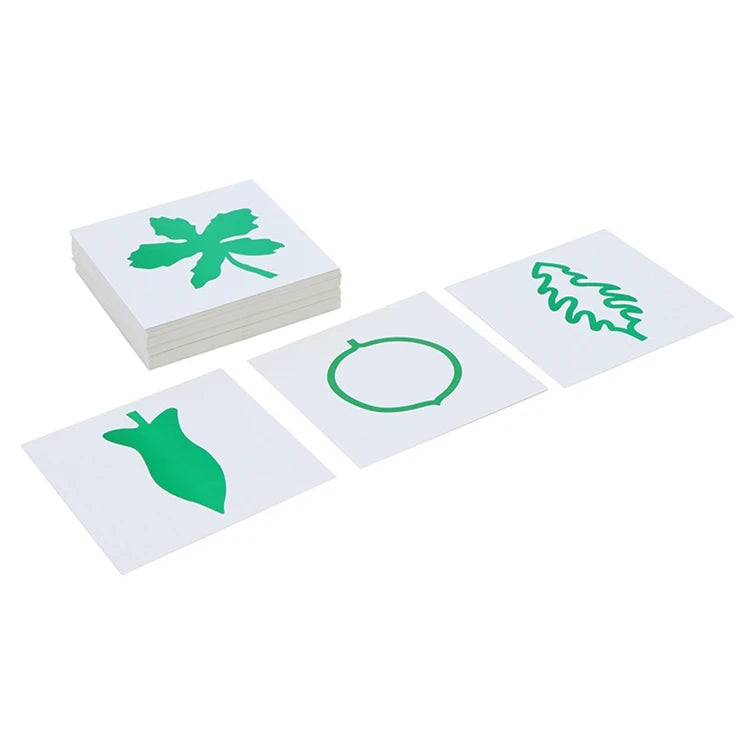 Montessori Leaf Cards and Cabinet Botany Material Ages 3 and Up