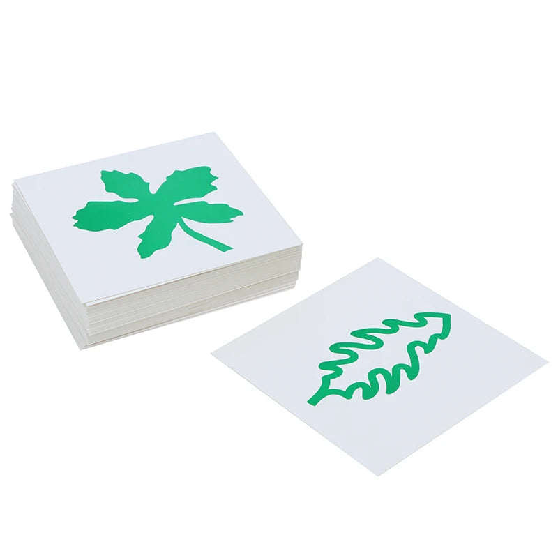 Montessori Leaf Cards and Cabinet Botany Material Ages 3 and Up