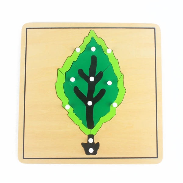 Montessori Zoology and Botany Parts Puzzle Wooden Science Toy