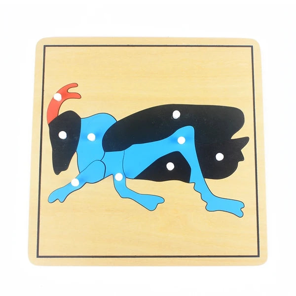 Montessori Zoology and Botany Parts Puzzle Wooden Science Toy