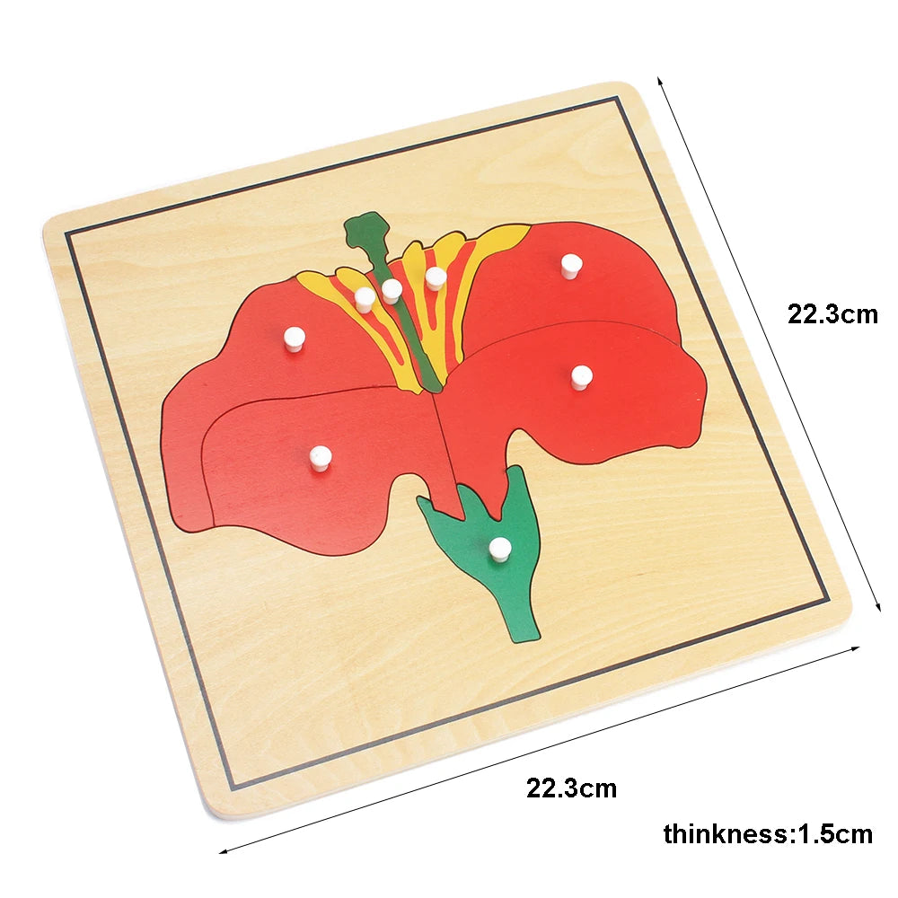 Montessori Zoology and Botany Parts Puzzle Wooden Science Toy