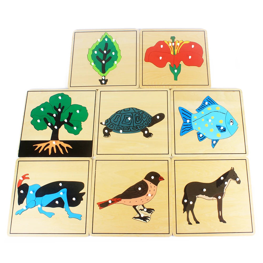 Montessori Zoology and Botany Parts Puzzle Wooden Science Toy