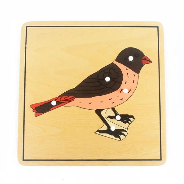 Montessori Zoology and Botany Parts Puzzle Wooden Science Toy