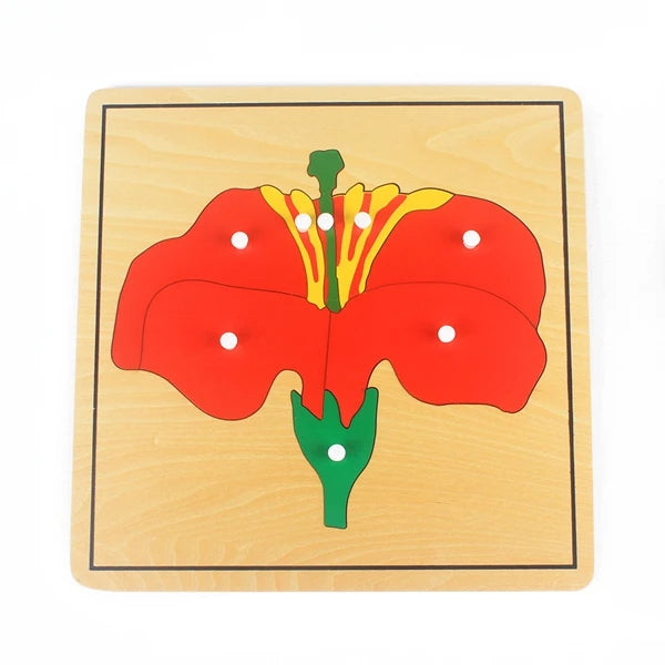 Montessori Zoology and Botany Parts Puzzle Wooden Science Toy