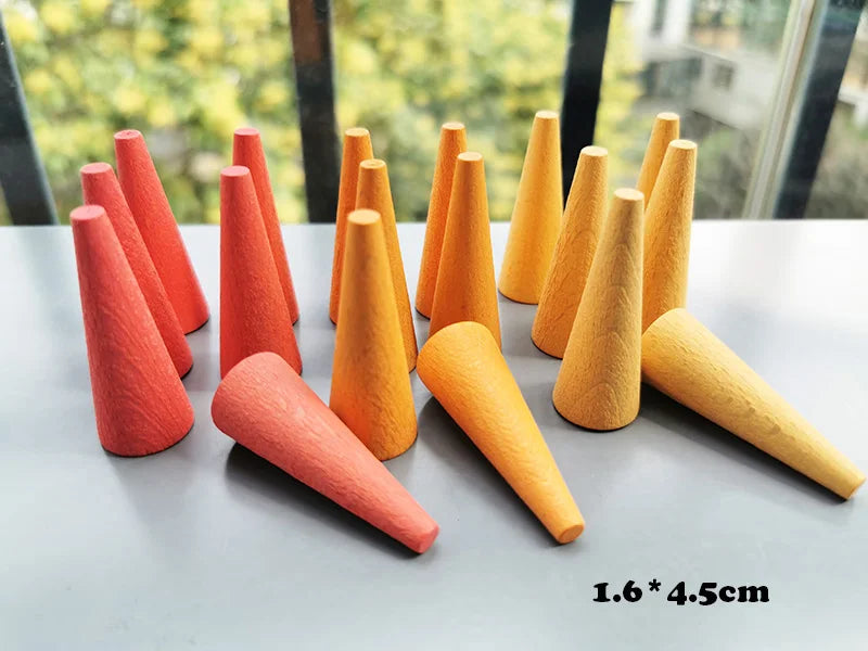 Montessori Rainbow & Natural Wood Loose Parts and Sorting Box