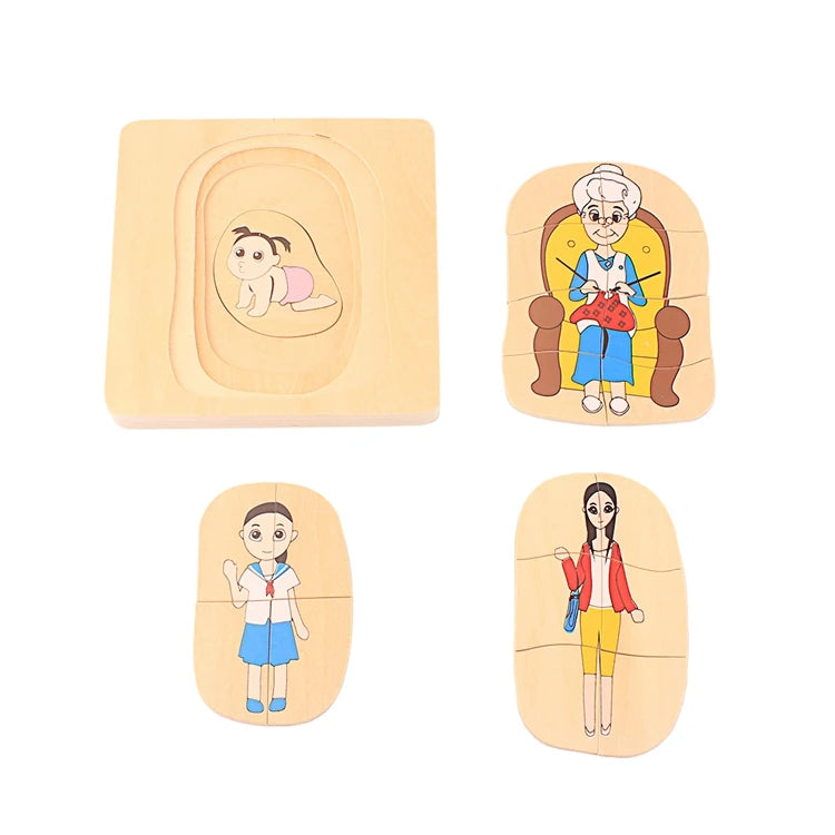 Montessori Life Cycle Layered Puzzle Wooden Biology Toy 