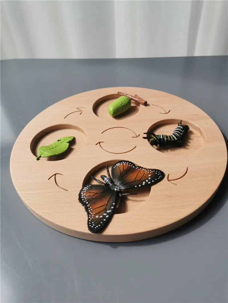 Wooden Life Cycle Learning Board with Figurines