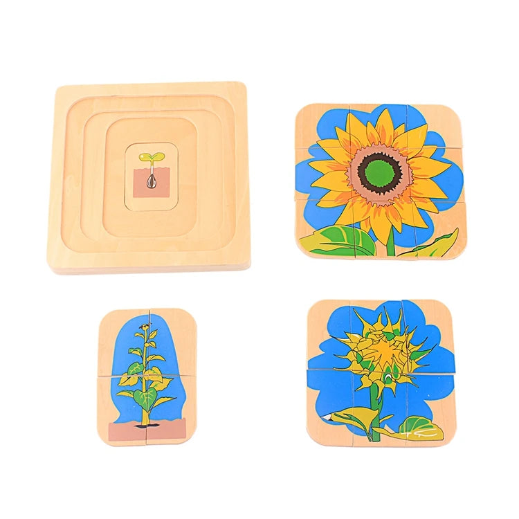 Montessori Life Cycle Layered Puzzle Wooden Biology Toy 