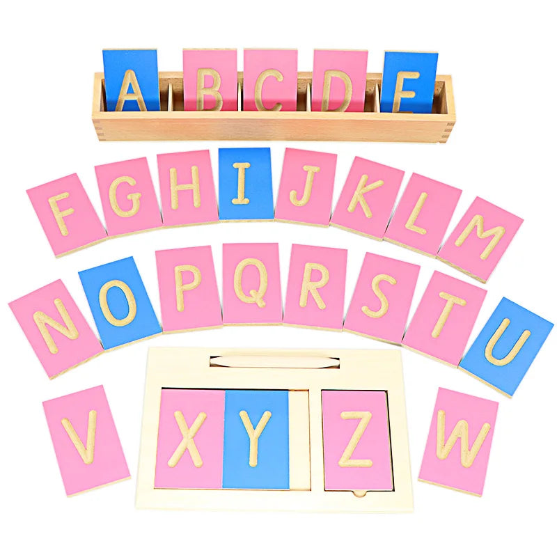 Montessori Movable Alphabet Wooden Letter Tiles with Storage Box