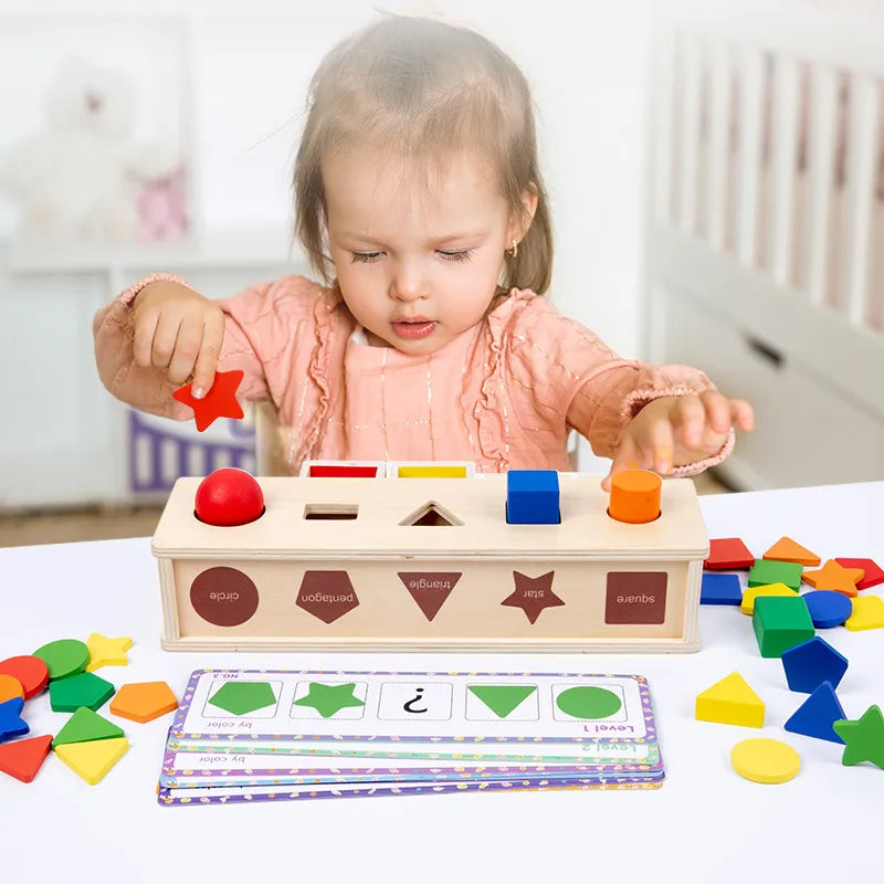 Montessori Wooden Color & Shape Sorting Educational Toy  Oliver & Company Montessori Toys   