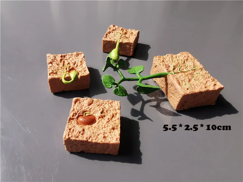 Wooden Life Cycle Learning Board with Figurines