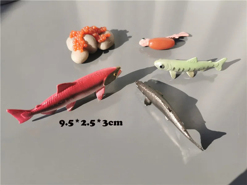 Wooden Life Cycle Learning Board with Figurines