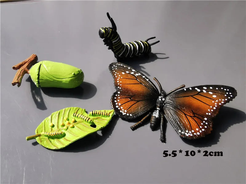 Wooden Life Cycle Learning Board with Figurines