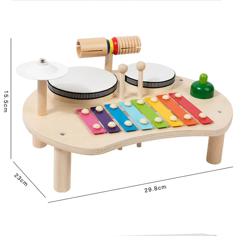 Wooden musical toy with colorful keys and various components on a white background