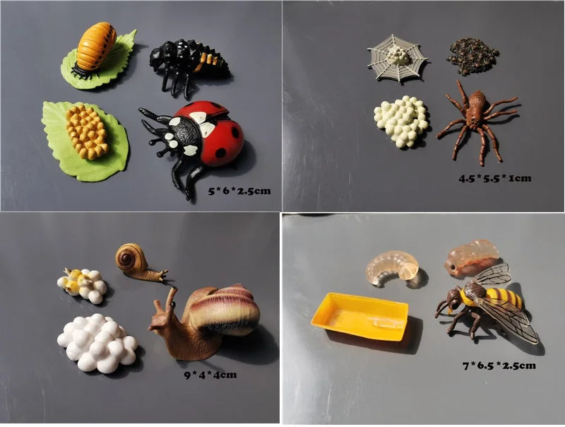 Wooden Life Cycle Learning Board with Figurines