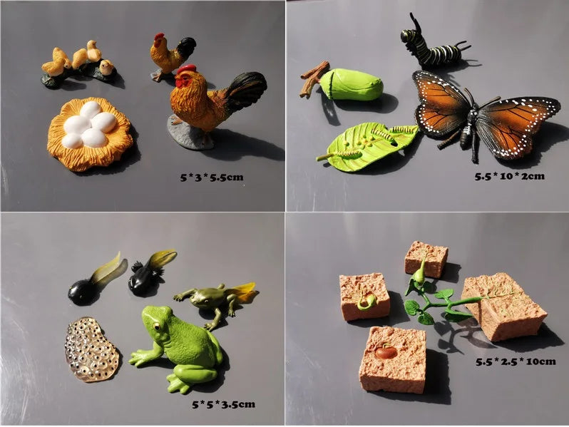 Wooden Life Cycle Learning Board with Figurines
