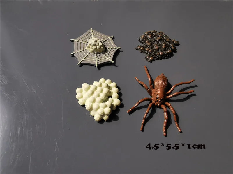 Wooden Life Cycle Learning Board with Figurines