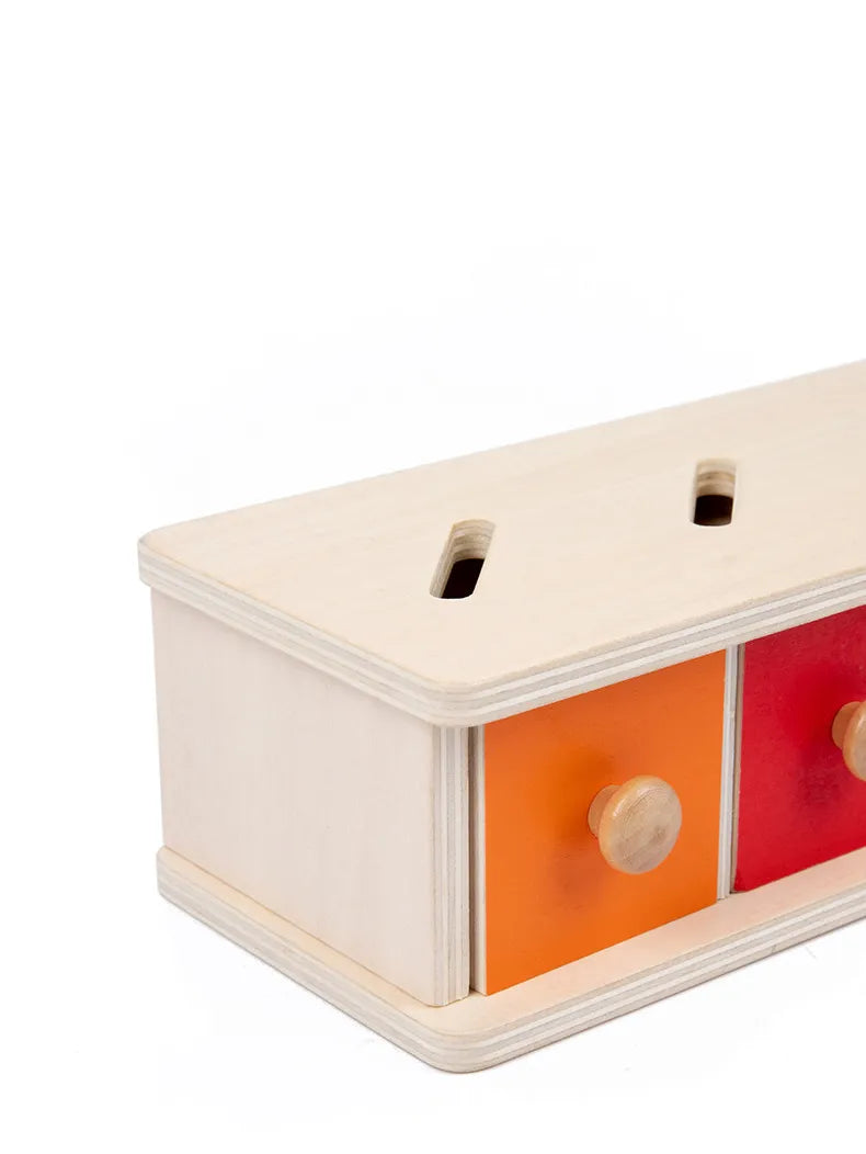Montessori Wooden Color & Shape Sorting Educational Toy  Oliver & Company Montessori Toys   