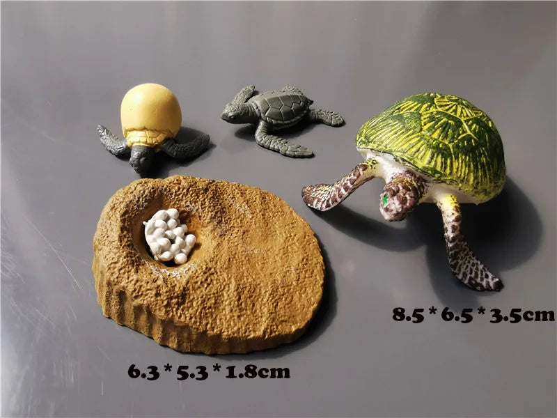 Wooden Life Cycle Learning Board with Figurines
