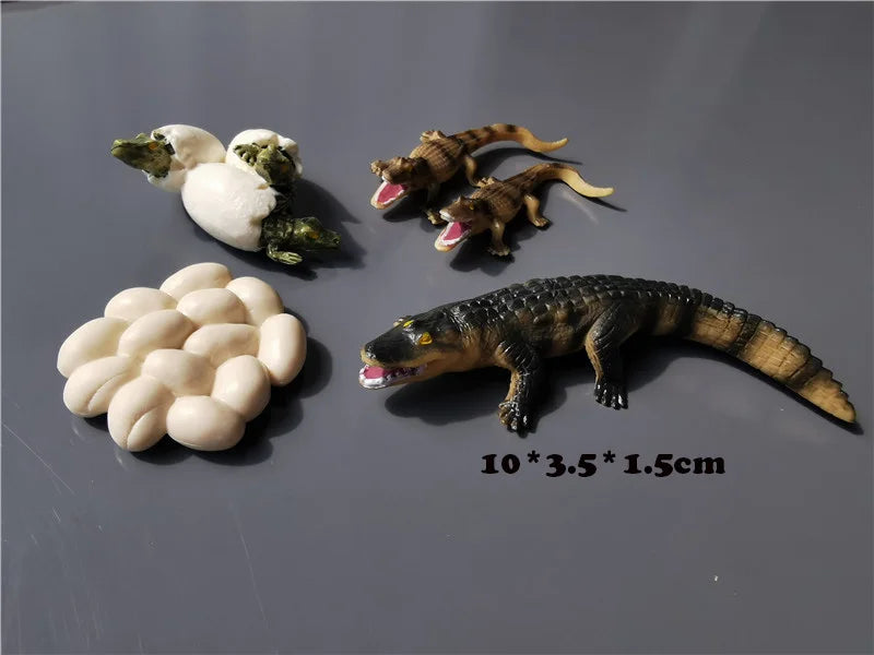 Wooden Life Cycle Learning Board with Figurines