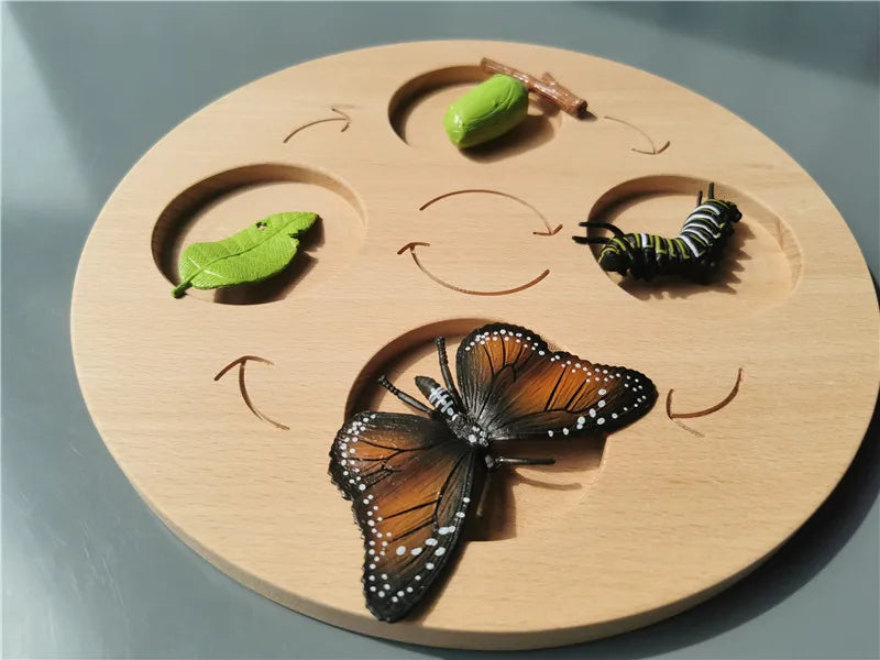 Wooden Life Cycle Learning Board with Figurines