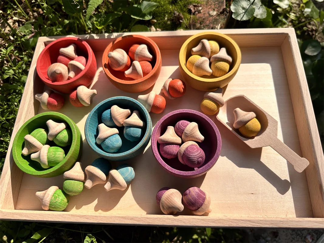 Colorful wooden acorn toys in a wooden tray with a natural outdoor background