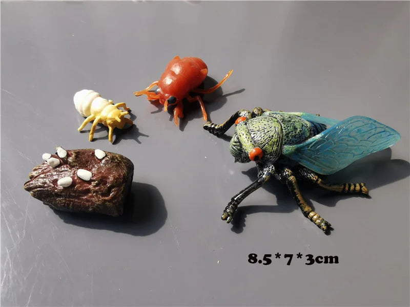 Wooden Life Cycle Learning Board with Figurines