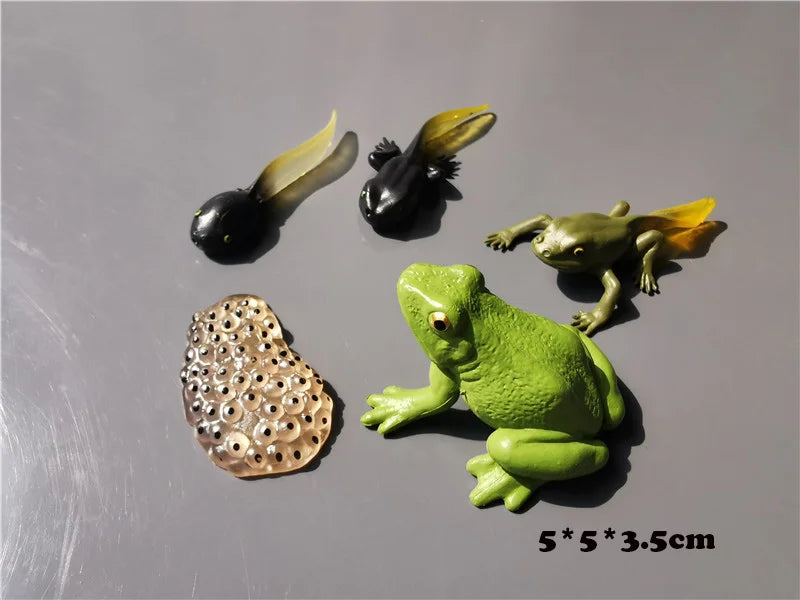 Wooden Life Cycle Learning Board with Figurines