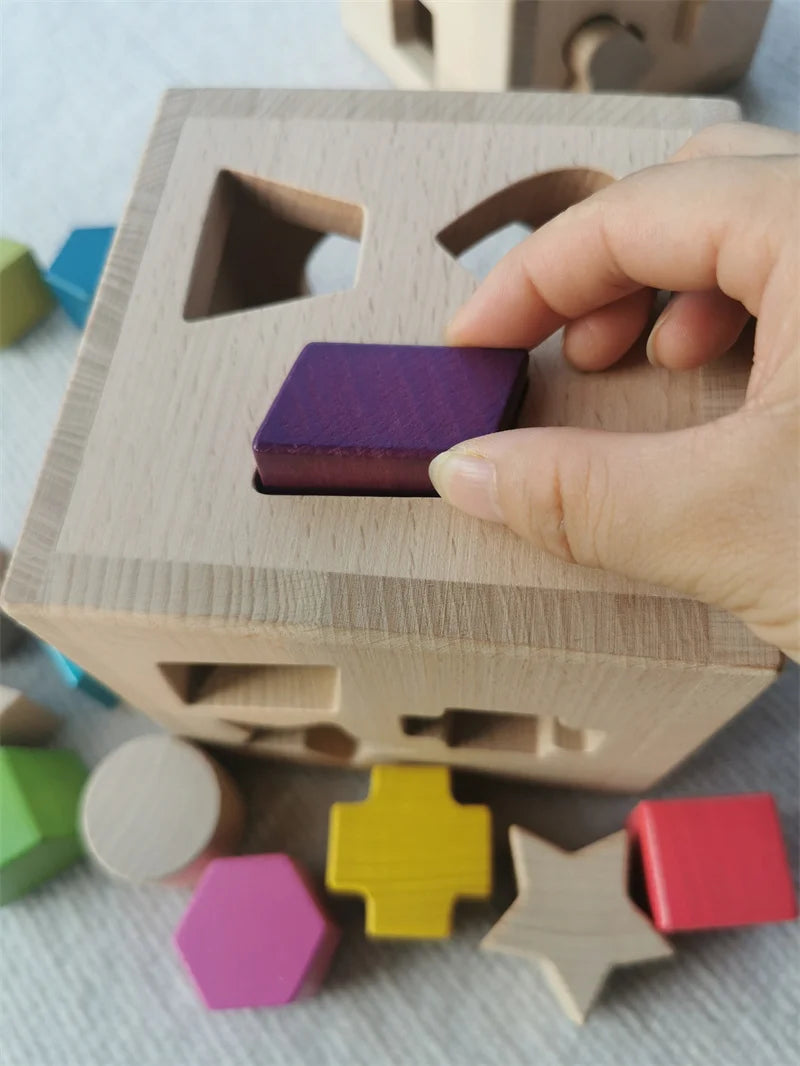 Montessori Shape Sorting Cube Educational Toy