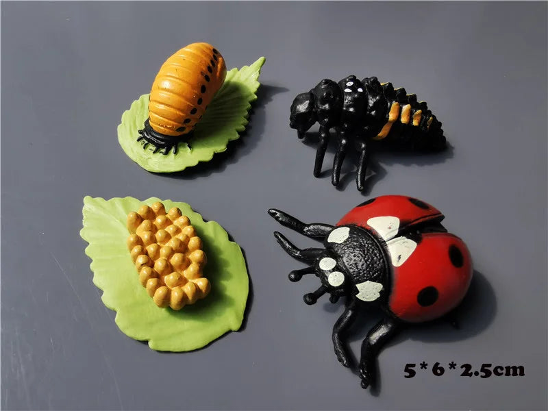 Wooden Life Cycle Learning Board with Figurines