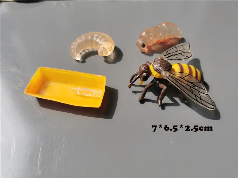Wooden Life Cycle Learning Board with Figurines