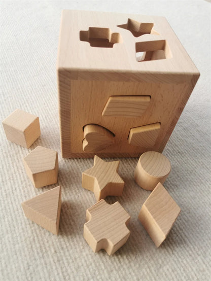 Montessori Shape Sorting Cube Educational Toy