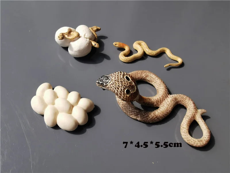 Wooden Life Cycle Learning Board with Figurines