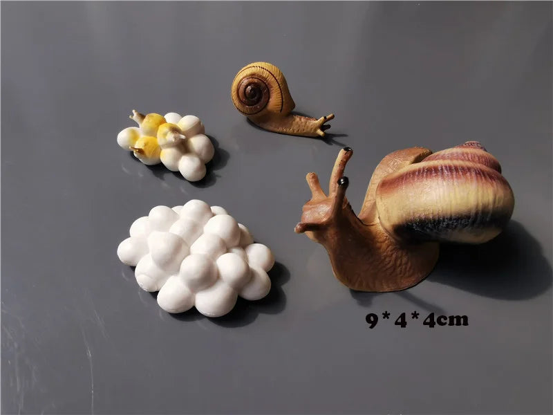 Wooden Life Cycle Learning Board with Figurines