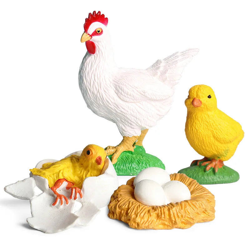 Chicken life cycle figures: egg, hatching chick, chick and hen