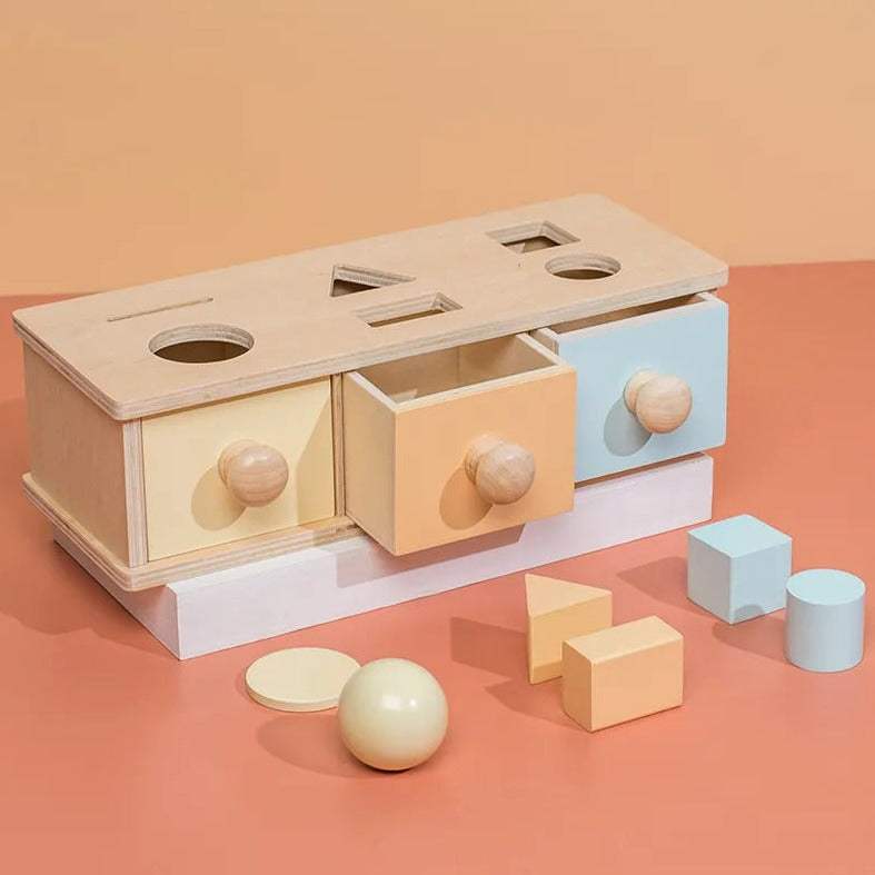 Montessori Wooden Permanence Box