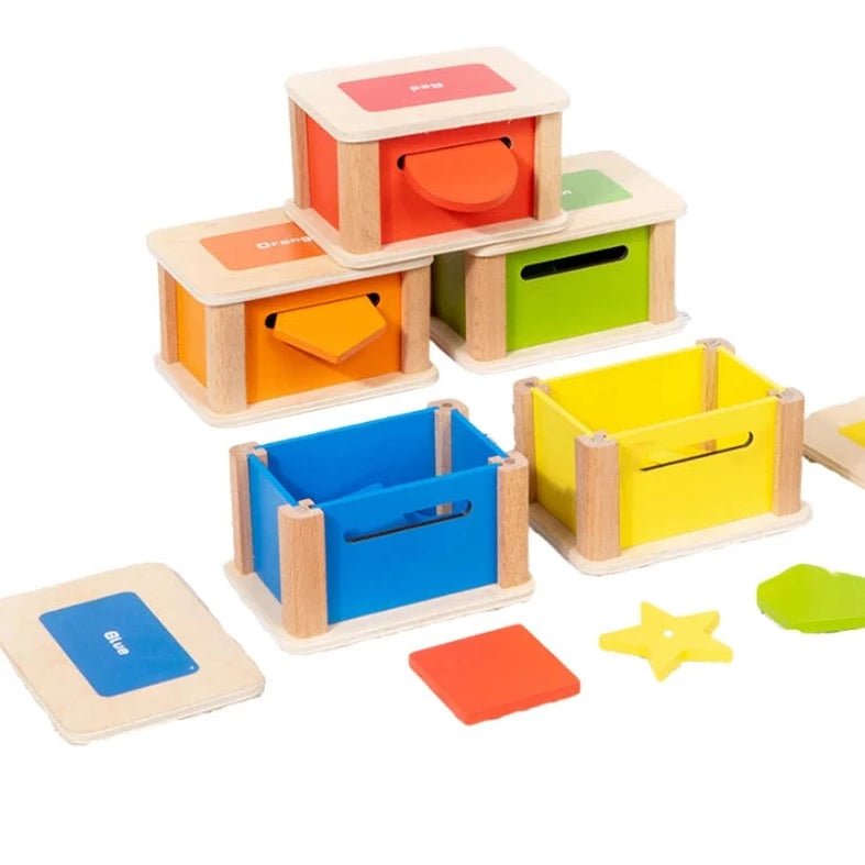 Montessori Enlightenment Color Classification Toy - Oliver & Company Montessori Toys